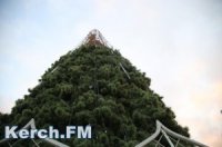 Новости » Общество: Новая 17-метровая городская ёлка города обойдется бюджету Керчи в 1,5 млн руб
