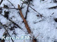 Новости » Общество: В Керчи выпал первый снег