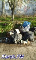 Новости » Общество: Коммунальщики Керчи заваливают мусором дорогу в больничный городок, -керчане