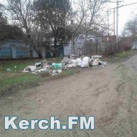 В Керчи собаки растаскивают мусор, который вовремя не вывезли