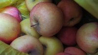 Новости » Общество: В Крым пытались незаконно ввезти более 50 кг фруктов
