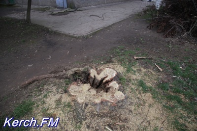 В Аршинцево пилят аварийные деревья