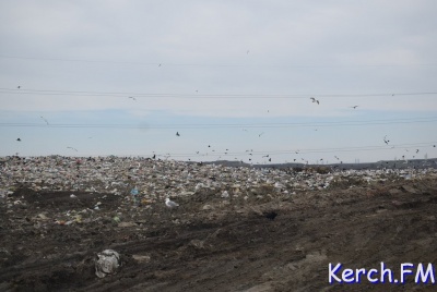 В Крыму с мая появятся ответственные за вывоз мусора