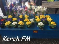 Керчане скупают цветы в Международный женский день
