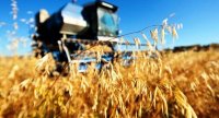 Производство сельхозпродукции Крыма упало на 5,7% в 2017 году