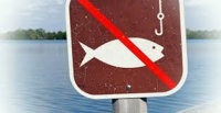 С 1 апреля в Крыму вводится нерестовый запрет на лов рыбы