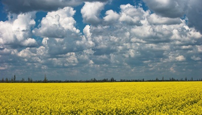 На развитие агропромышленного комплекса в Крыму направят 3,6 млрд руб