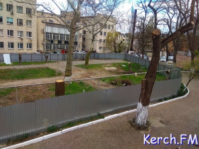 Новости » Общество: В сквере около профцентра в Керчи спилили деревья