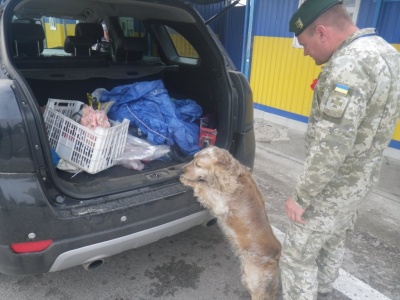 Новости » Общество: В Крым пытались незаконно ввезти полсотни патронов