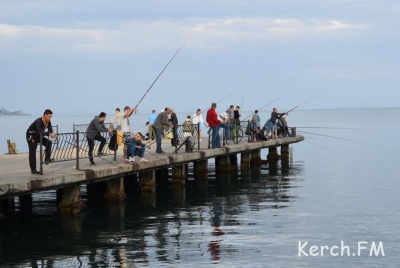 Новости » Общество: В Керчи массово ловили рыбу на набережной