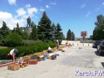 Новости » Общество: В сквере Славы выкопали засохшие цветы и сажают новые