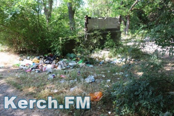 Горы мусора, трава и разрушенная арка – как выглядит Приморский парк сегодня