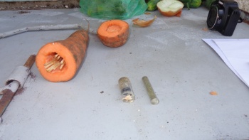 Новости » Криминал и ЧП: В Ленинском районе в изолятор пытались передать наркотики в морковке