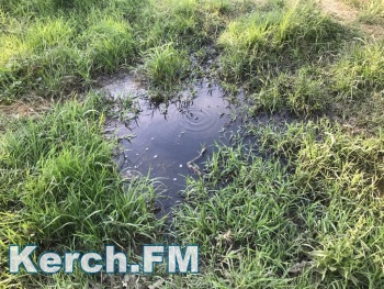 В Комсомольском парке Керчи из-под земли бежит вода