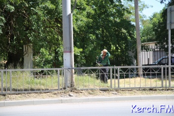 На Генерала Петрова в Керчи косили сухую траву