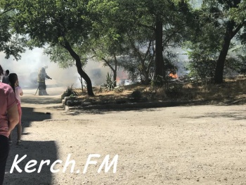 В Керчи на Олега Кошевого горели мусорные баки и трава