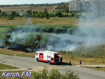 Новости » Общество: В Керчи сильно горел камыш на озере в районе Ворошилова