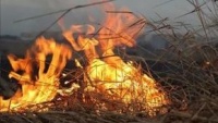 Вчера в Щелкино горело 30 га сухой травы