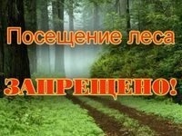 В Крыму снова временно запретили посещать леса