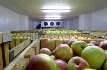 Крымские инвесторы планируют построить несколько крупных фруктохранилищ