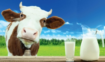 Минсельхоз Крыма призвал производителей и переработчиков договориться о цене молока