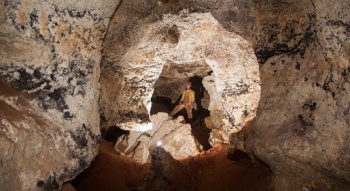 Новости » Общество: От любопытных закрыли вход в найденную пещеру с останками мамонтов
