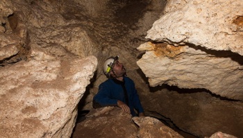 Новости » Общество: Ученые проведут дополнительные исследования найденной в Крыму пещеры