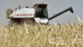 Потребители в Крыму не ощутят снижение урожая зерновых