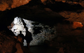 Новости » Общество: В крымской пещере обнаружили кости вымершей саблезубой кошки