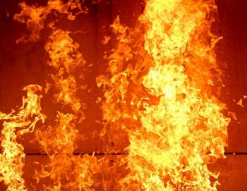 Новости » Общество: В Крыму с начала года произошло более 500 пожаров