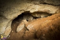 Новости » Общество: Ученые пока не обнаружили второй вход в найденную при строительстве «Тавриды» пещеру