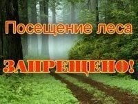 Новости » Общество: В Крыму сохраняется наивысший класс пожарной опасности