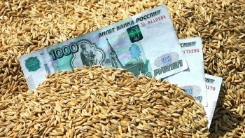 В Ленинском районе двое мужчин украли 5 тонн зерна у предпринимателя
