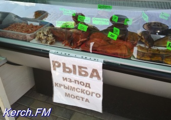 Ты репортер: «Рыбу из-под Крымского моста» продают в Керчи