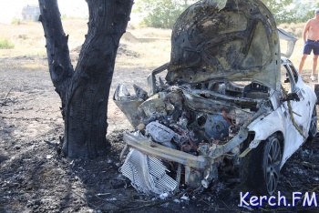 По пути в Героевку иномарка врезалась в мопед и дерево, машина загорелась