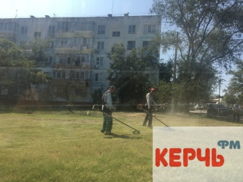В Керчи на Ворошилова косили траву