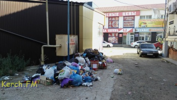 Новости » Общество: Центр Керчи «загажен» мусором