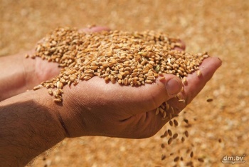 Крым не будет ограничивать экспорт зерна из-за засухи