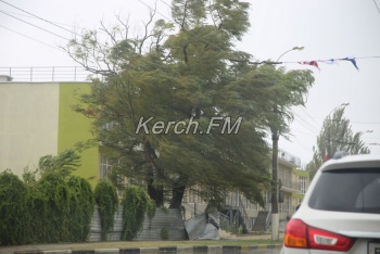 Непогода в Керчи ломает деревья, срывает рекламу и вырывает зонты