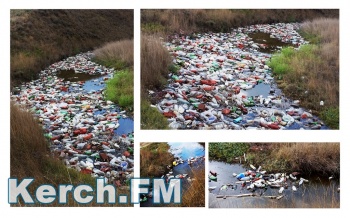 Новости » Общество: В районе Курортного керчане нашли «реку мусора»
