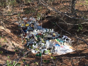 В лесу в Нижнезаморском устроили свалку мусора
