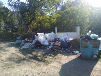 На Капитана Алиева, 5 в Керчи уже неделю не вывозят мусор