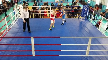 Новости » Спорт: В Керчи пройдет турнир по боксу