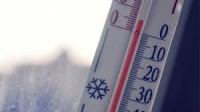 Новости » Общество: В Крыму на два дня прогнозируют заморозки