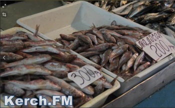 Крымские рыбаки выловили на 80 тонн барабули больше, чем в прошлом году