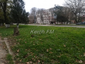 В Керчи на Орджоникидзе высадили деревья