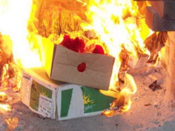 Новости » Криминал и ЧП: В Крыму сожгли более 45 кг европейских сыров