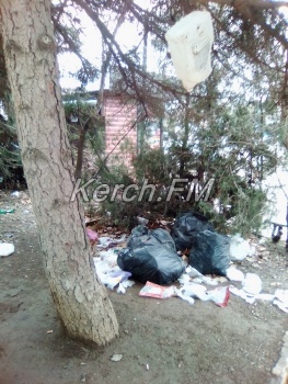 Керчане требуют убрать свалку мусора в районе «Института»