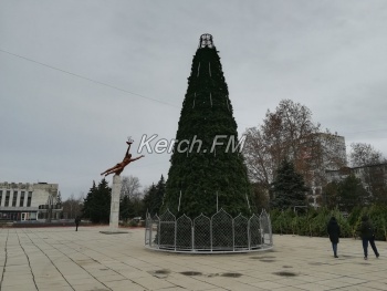 Новости » Общество: На площади у ДК «Корабел» почти собрали елку