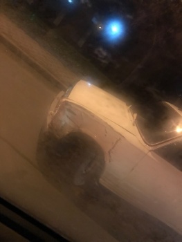 На светофоре на Горьковском мосту столкнулись «ВАЗ» и иномарка